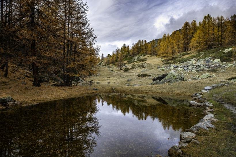 La nature au fil de l'eau